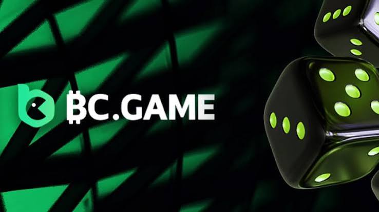 Understanding the BC.Game Login Process A Comprehensive Guide -290275572